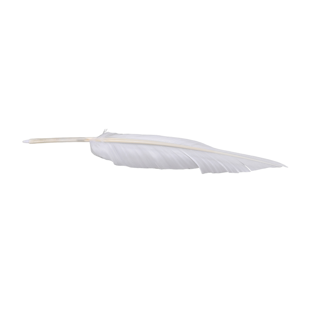 Accessoires de déguisement Ani - Frieren Cosplay Prop avis et prix